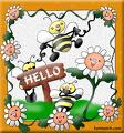 hello