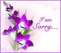 sorry